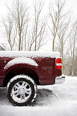 Rear of pickup truck covered in snow