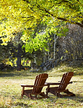 Adirondack chairs on lawn