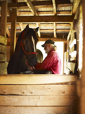 Man and horse in stable