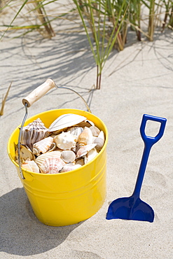 Beach shovel and pail of shells