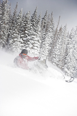 Man driving snowmobile Aspen, Colorado, USA