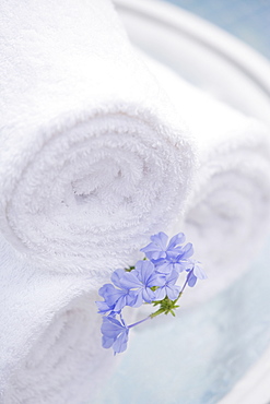 Spa towels and tropical flower