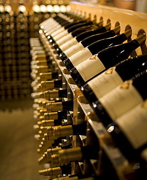 Racks of wine bottles