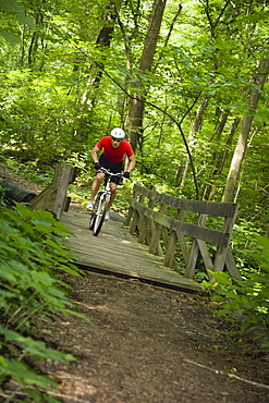 Man riding mountain bike in woods