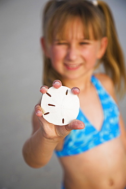 Girl holding up sand dollar, Florida, United States