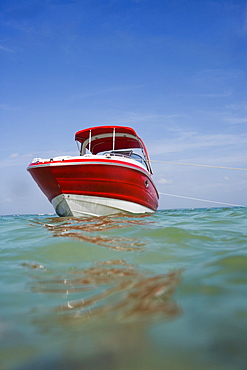 Surface shot of boat in water, Florida, United States