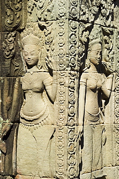 Carvings at ancient temple Angkor Wat Cambodia Khmer