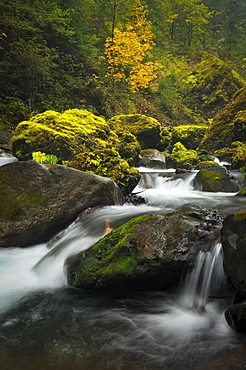 USA, Oregon, Eagle Creek