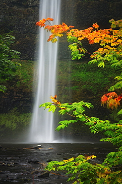 USA, Oregon, Marion County, South Falls