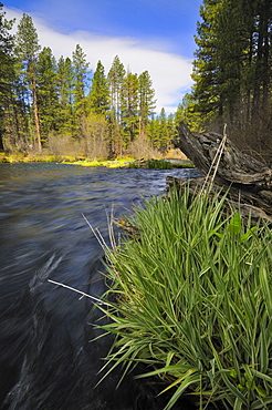 USA, Oregon, Deschutes County, Metolious River