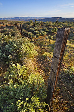 USA, Oregon, Old fence in desert