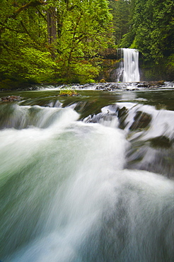 USA, Oregon, Silver Falls State Park, View of Upper North Falls