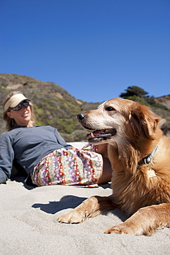 Golden retriever with owner on beach