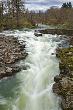 USA, Oregon, Linn County, Thomas Creek