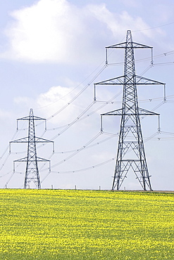 UK, Cambs, Burwell, Electricity pylons