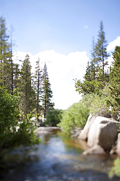 USA, California, Sonora Pass, Landscape with stream