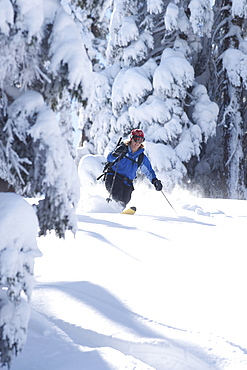 USA, California, Lake Tahoe, Mid adult woman skiing