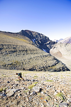 USA, Montana, Glacier National Park, Mid adult man hiking 