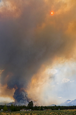 USA, Oregon, forest fire