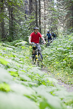 Canada, British Columbia, Fernie, Group of three people enjoying mountain biking