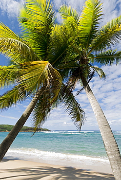 Caribbean beach