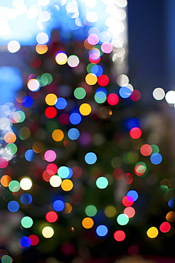 Christmas lights