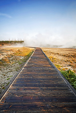 Sunrise, steam and boardwalk, West Thumb Geyser Basin, Yellowstone National Park, Wyoming