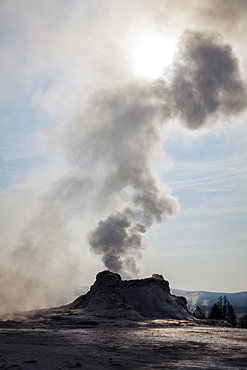 Steam from Castle Geyser in Upper Geyser Basin, Yellowstone National Park, Wyoming