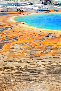 Grand Prismatic Spring in Midway Geyser Basin, Yellowstone National Park, Wyoming