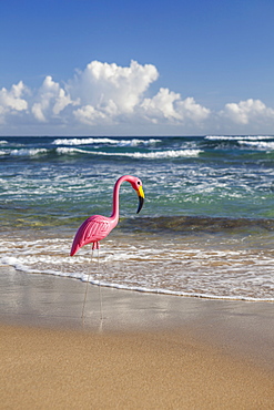 Plastic Flamingo, Isabel Beach, Puerto Rico, 