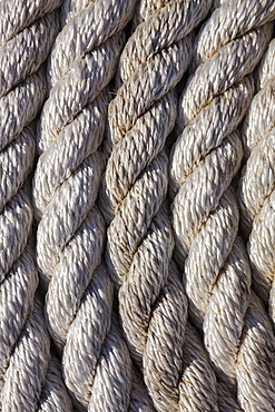 Close up of rope coiled on dock, Charleston Marina, OR