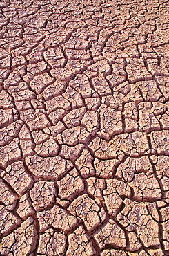 Mexico, Baja California, Dry lake bed