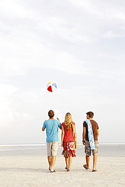 Friends walking on beach