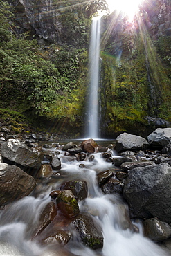 Scenic view of Dawson Falls, New Zealand