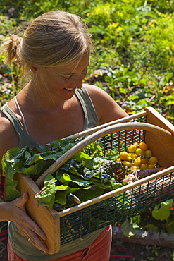 Woman collecting vegetables in garden