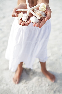 Girl on beach holding delicate starfish and shells