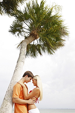 Couple hugging under palm tree