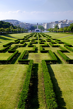 Ornamental hedge in Park of Edward VII, Lisbon, Portugal