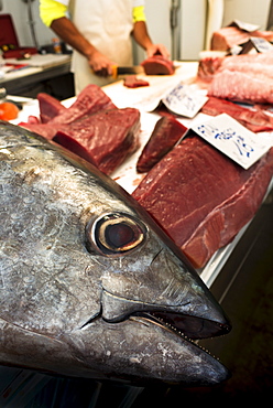 Tuna fish on fish market, Cadiz, Spain