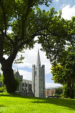 Lawn in front of Saint Patrick's Cathedral