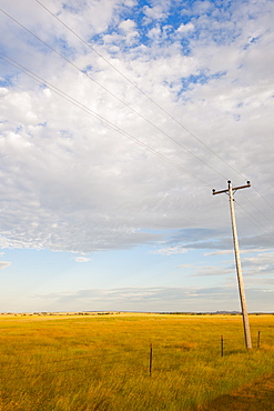 Telephone pole in prairie