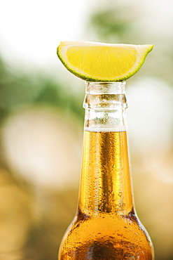 Close up of bottle of beer with lime slice on top