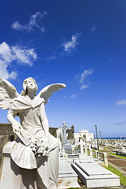 Puerto Rico, Old San Juan, Santa Maria Magdalena Cemetery with El Morro Fortress in background 