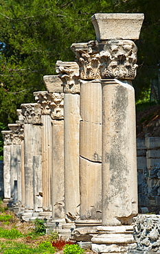 Turkey, Ephesus, Row of Corinthian columns