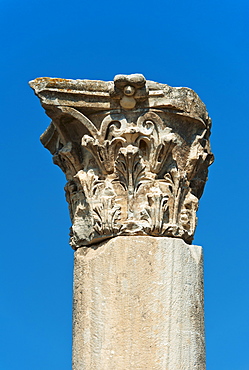 Turkey, Ephesus, Corinthian column