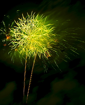 Fireworks explosion against night sky