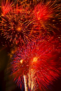 Fireworks explosion against night sky