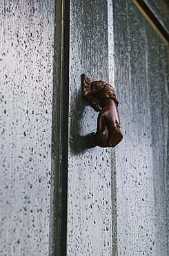 USA, South Carolina, Charleston, Close up of door knocker on door in rain