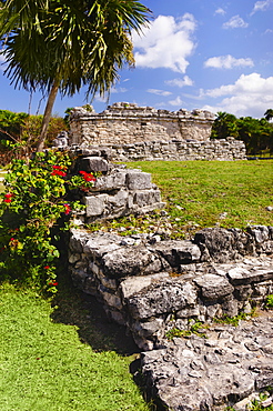 Ancient Mayan ruins