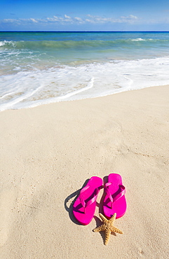 Sandals with starfish on beach